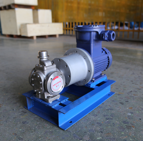 1740664836121506.jpg 圓弧齒輪泵YCB10-1.6整機(jī)、配磁力聯(lián)軸器.JPG